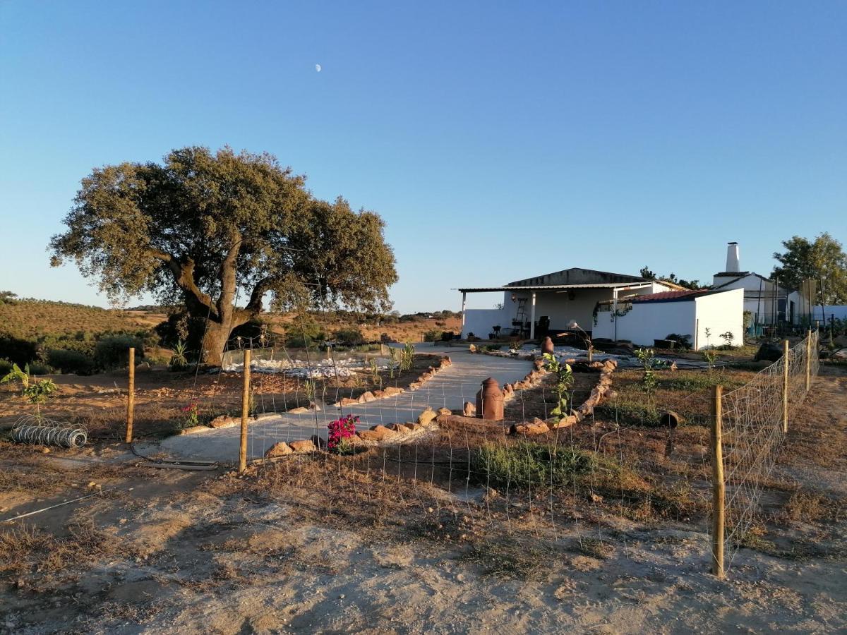 Monte Beatriz Villa Reguengos de Monsaraz Luaran gambar